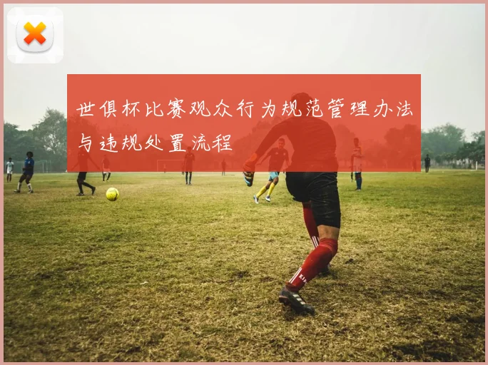 世俱杯比赛观众行为规范管理办法与违规处置流程