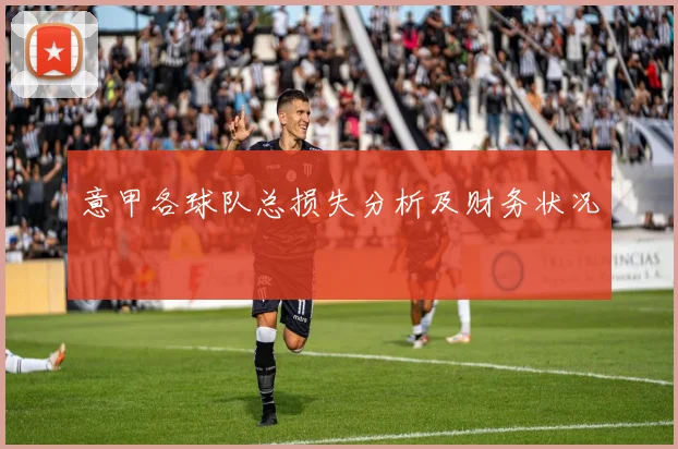 意甲各球队总损失分析及财务状况