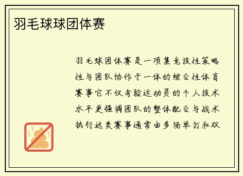 羽毛球球团体赛